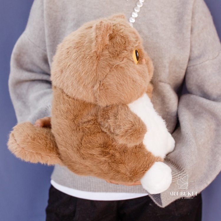 Кот глазастый коричневый 35 см