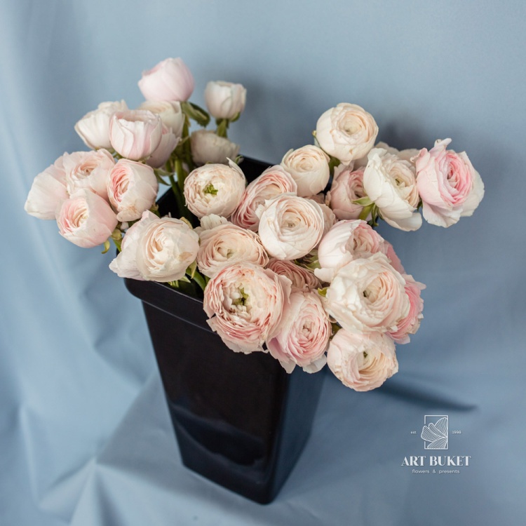 Ранункулюс