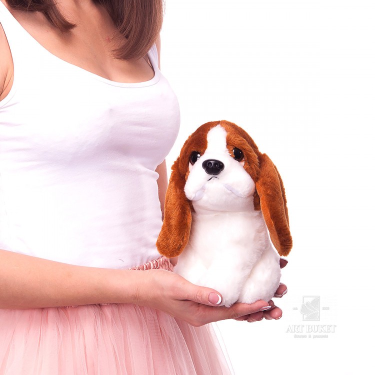 Собачка Спаниель