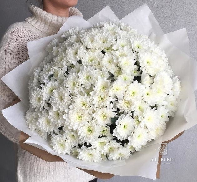 15 белых хризантем