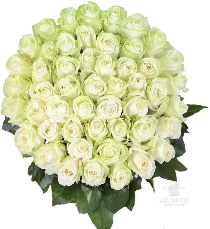 51 местная роза