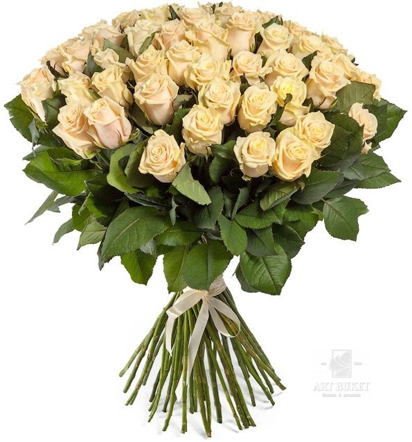 51 местная роза