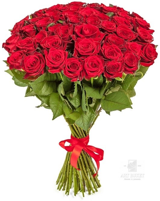 51 местная роза