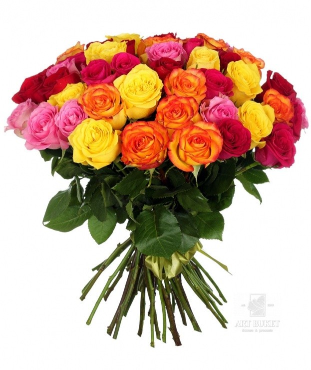 51 местная роза