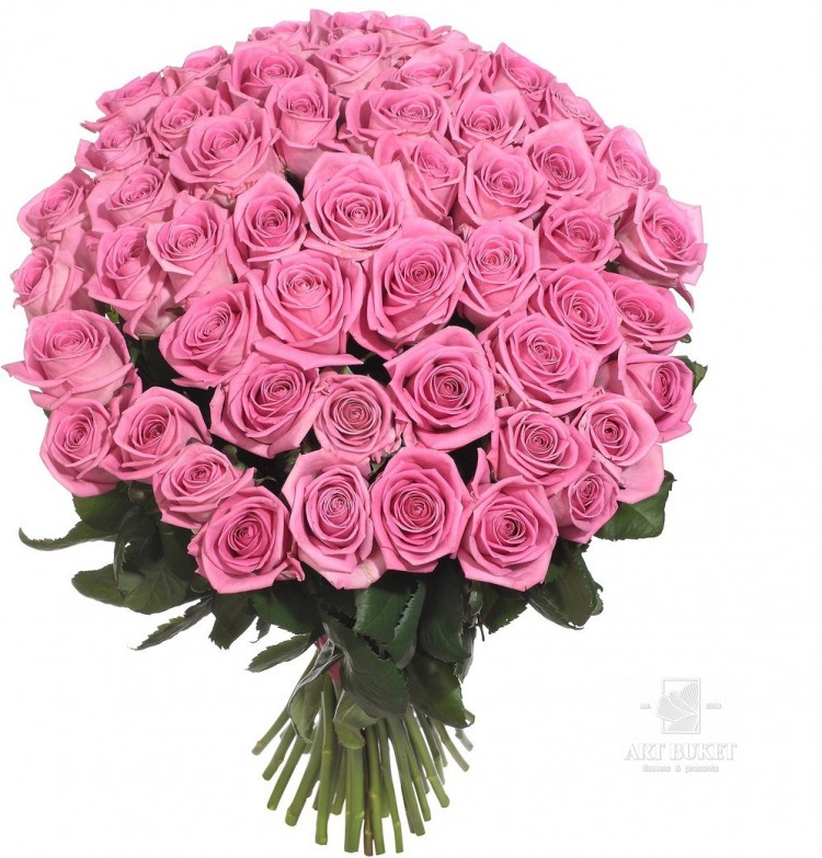 51 местная роза