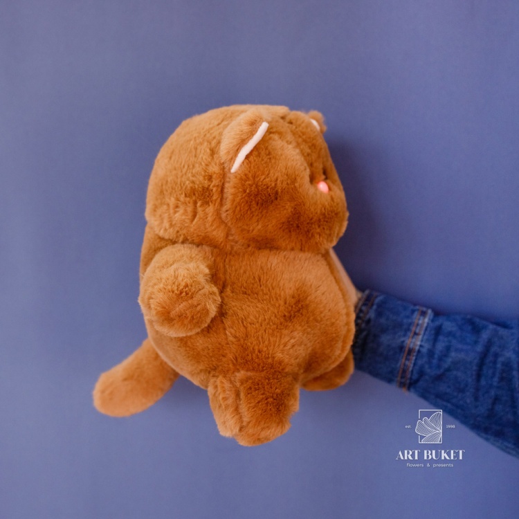 Кот глазастый 20 см коричневый