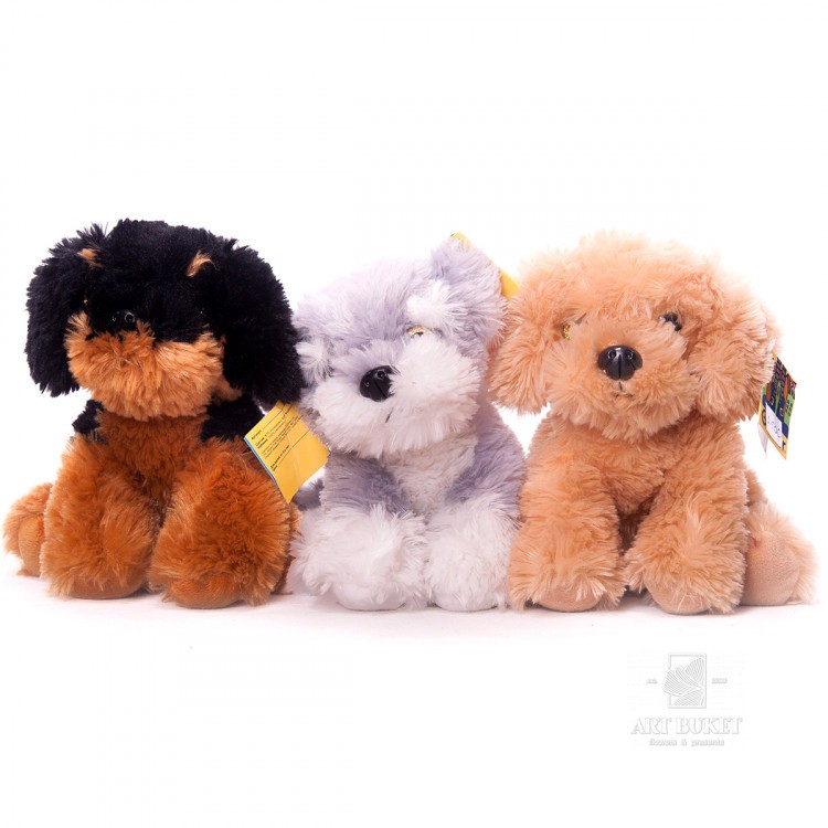 Мини-собачки