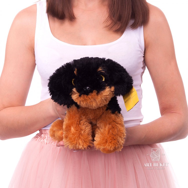 Мини-собачки