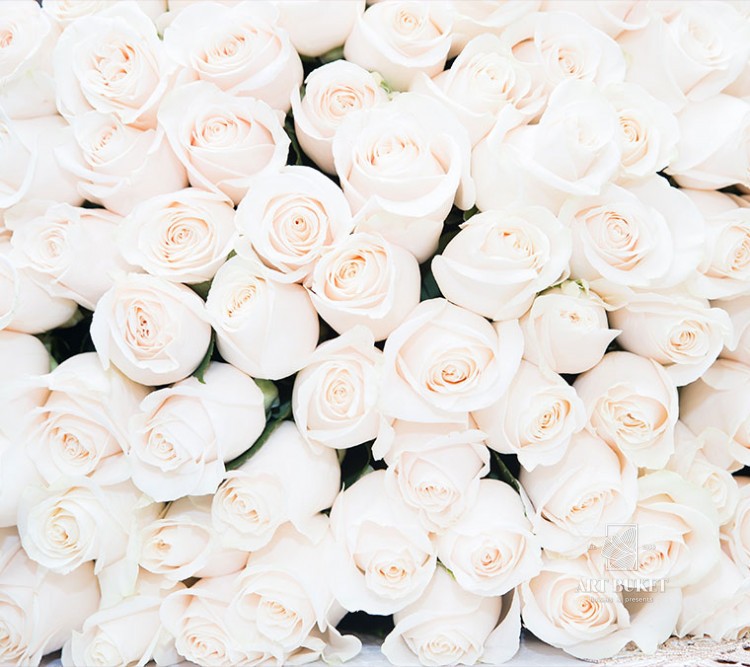 Розы местные