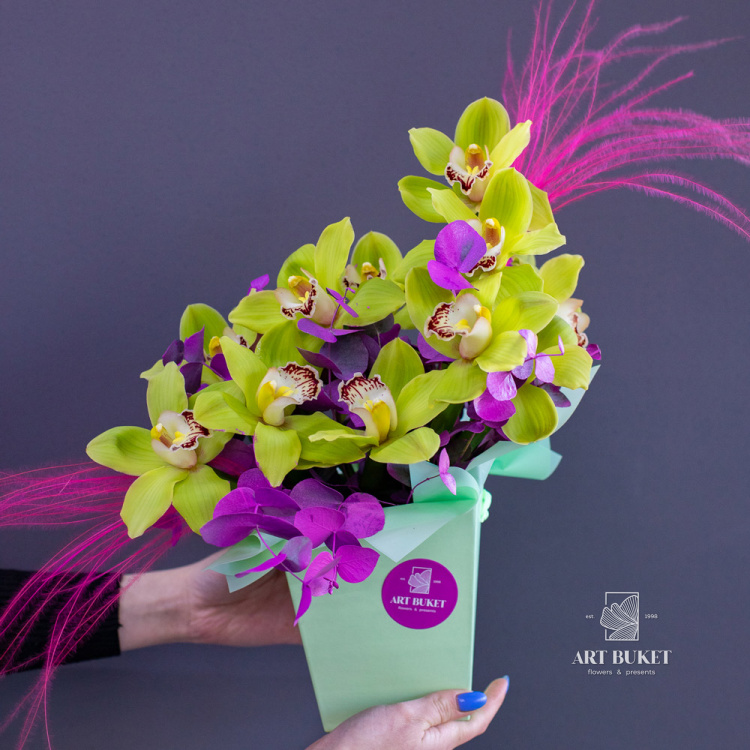 Композиция с зелеными орхидеями