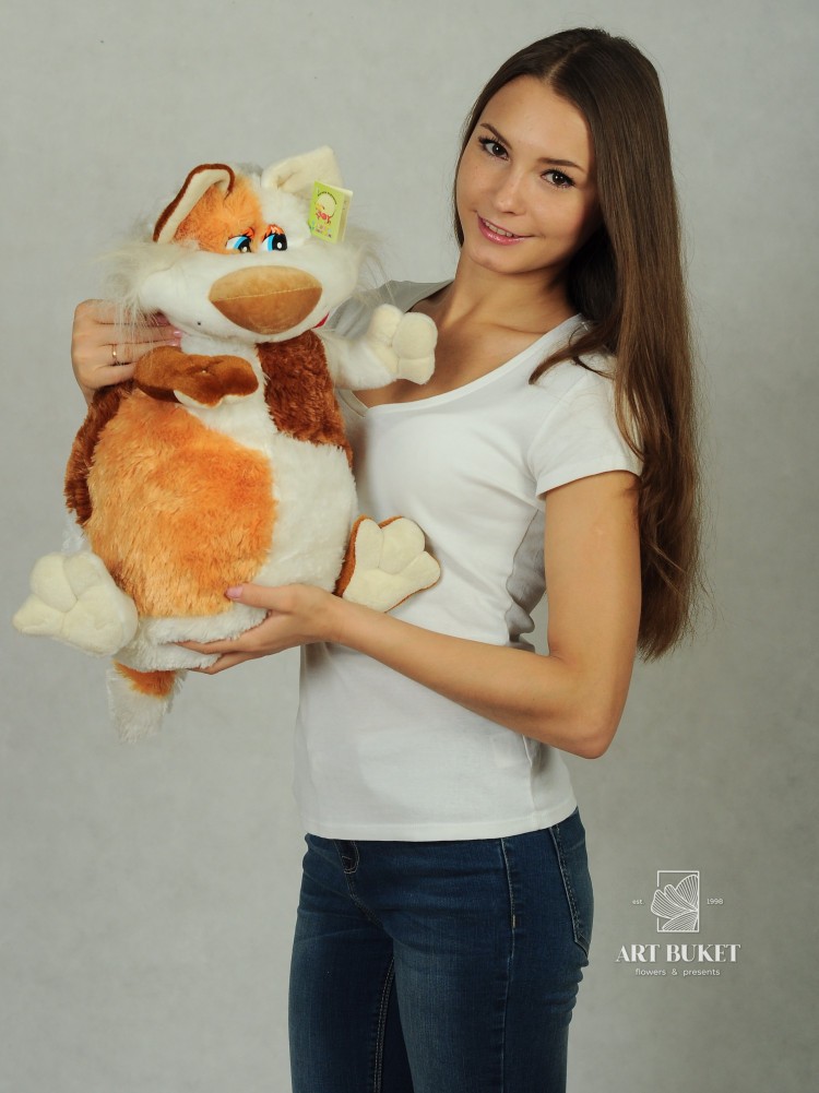 Трехцветный кот