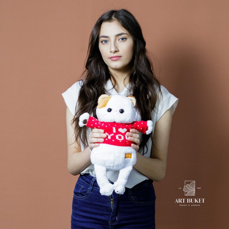 Кошка Лили в бордовом свитере