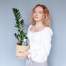 Замиокулькас (Zamioculcas) 60 см