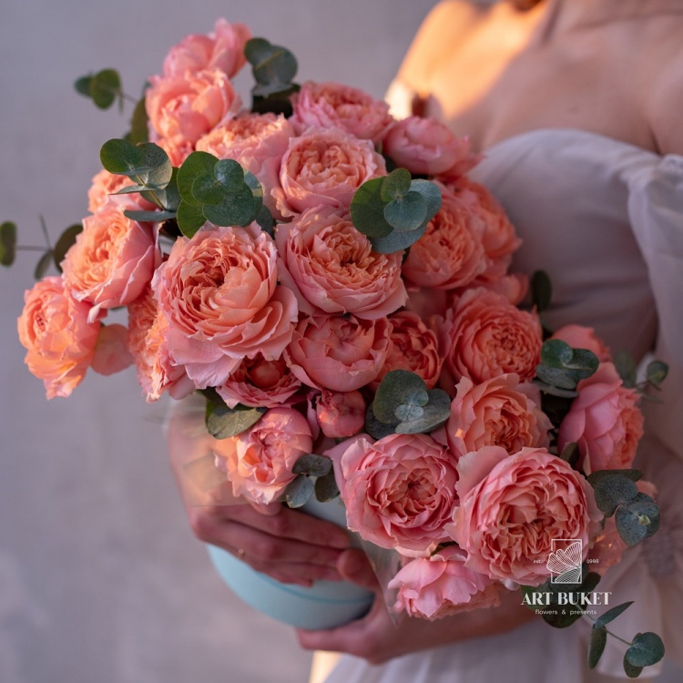 Утонченный комплимент