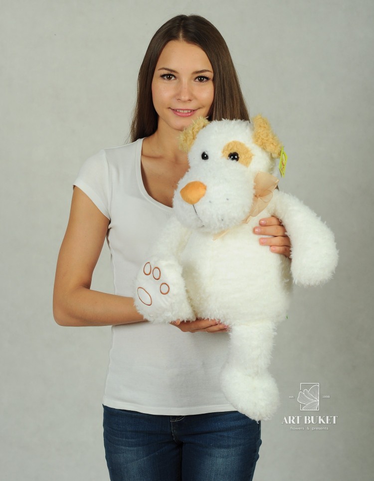 Собака с коричневыми ушами