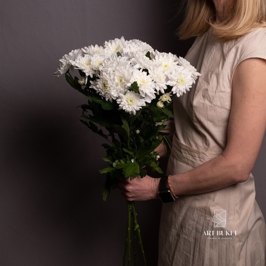 Хризантема Зембла Белая 