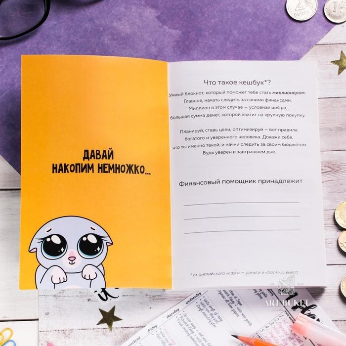 Умный блокнот CashBook "Денежный кот" 