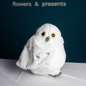 Сова Букля. Серия: Гарри Поттер