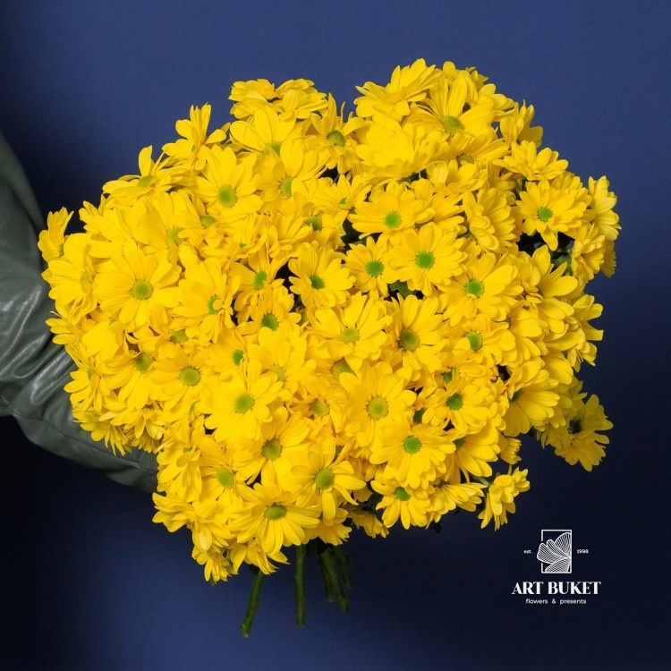 Хризантемы