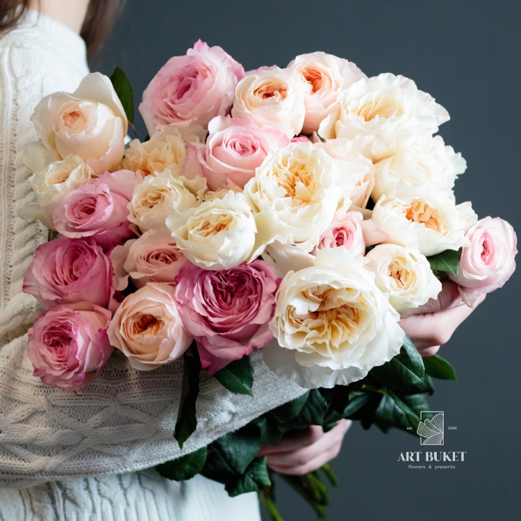 Роза Пионовидная Садовая