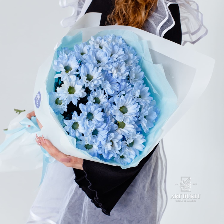 5 голубых ромашковых хризантем