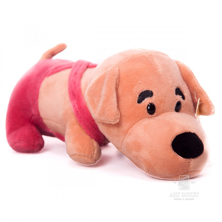 Пёсик в розовых штанишках