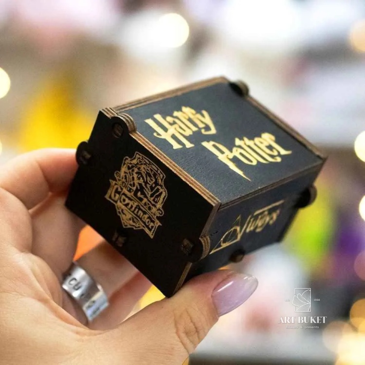 Музыкальна шкатулка. Серия: Гарри Поттер