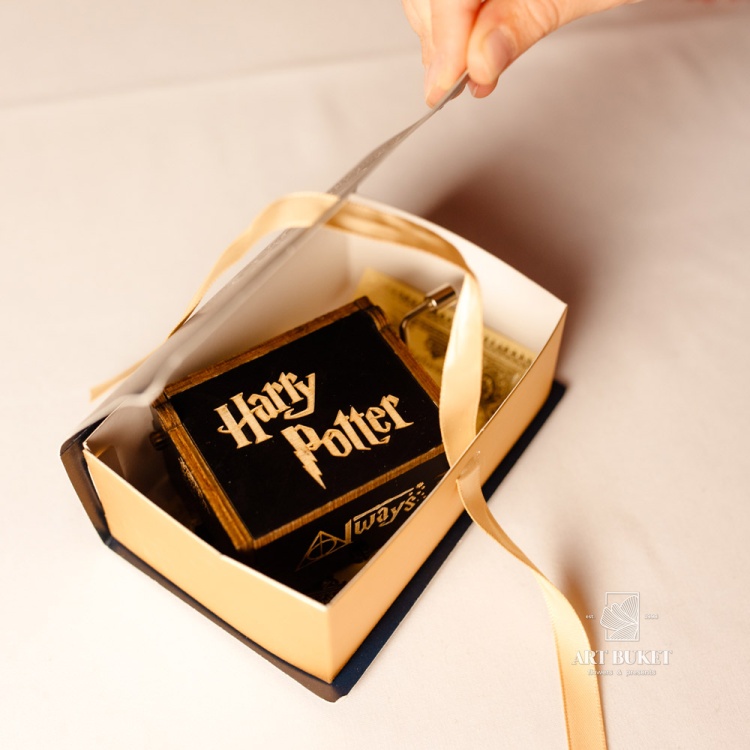 Музыкальна шкатулка. Серия: Гарри Поттер