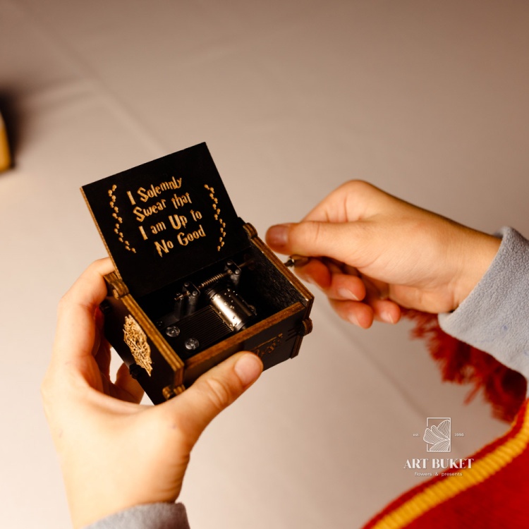 Музыкальна шкатулка. Серия: Гарри Поттер