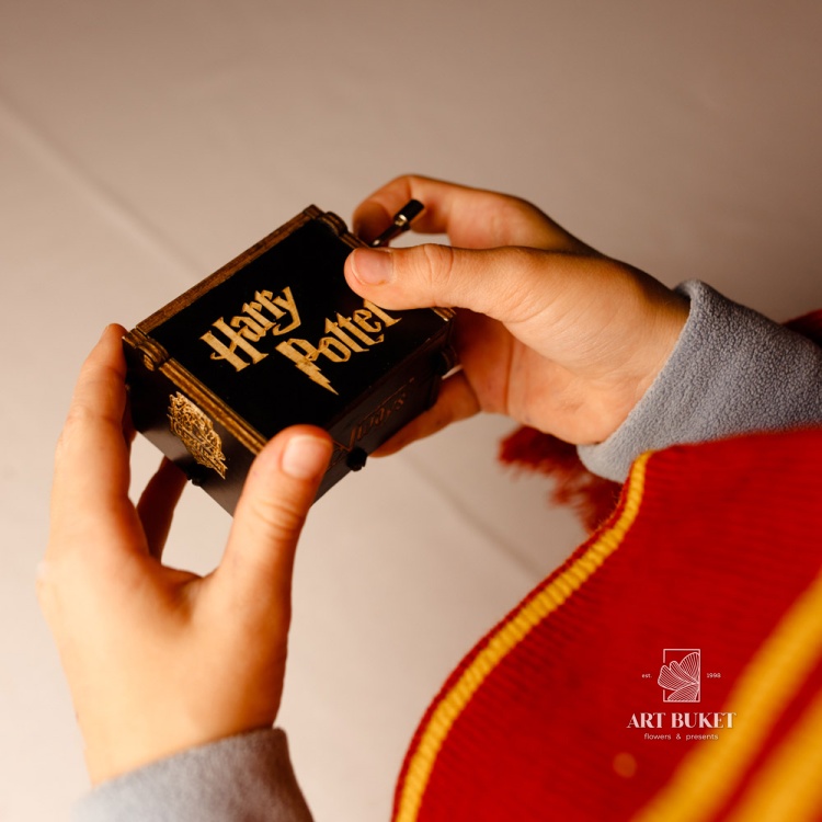 Музыкальна шкатулка. Серия: Гарри Поттер