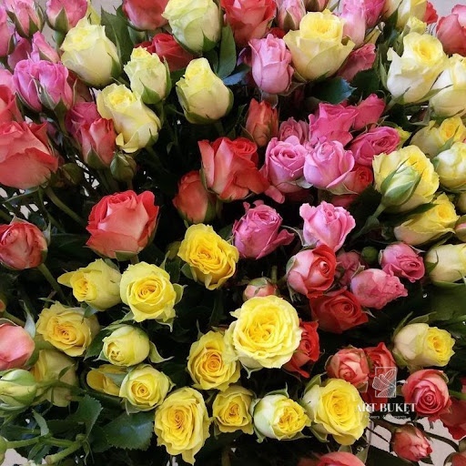 Роза Кустовая Микс