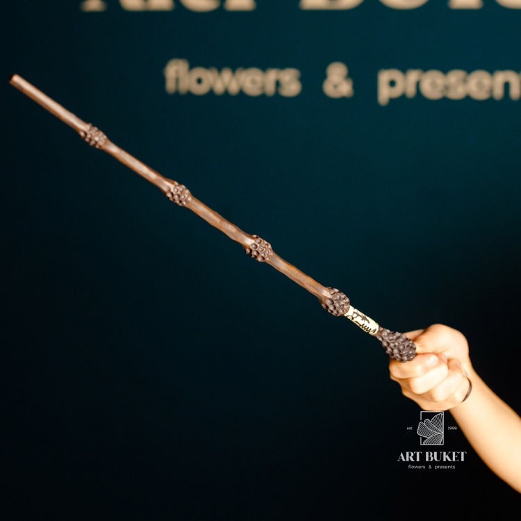 Набор: Бузинная палочка и очки. Серия: Гарри Поттер