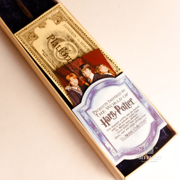 Набор: Бузинная палочка и очки. Серия: Гарри Поттер