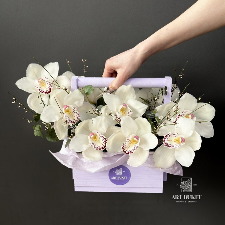 Композиция #117