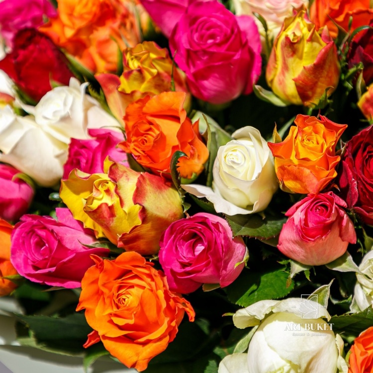 Роза Кения Микс 40 см 