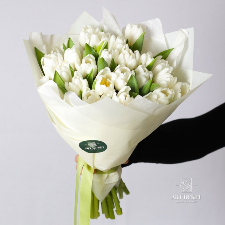 25 белых тюльпанов