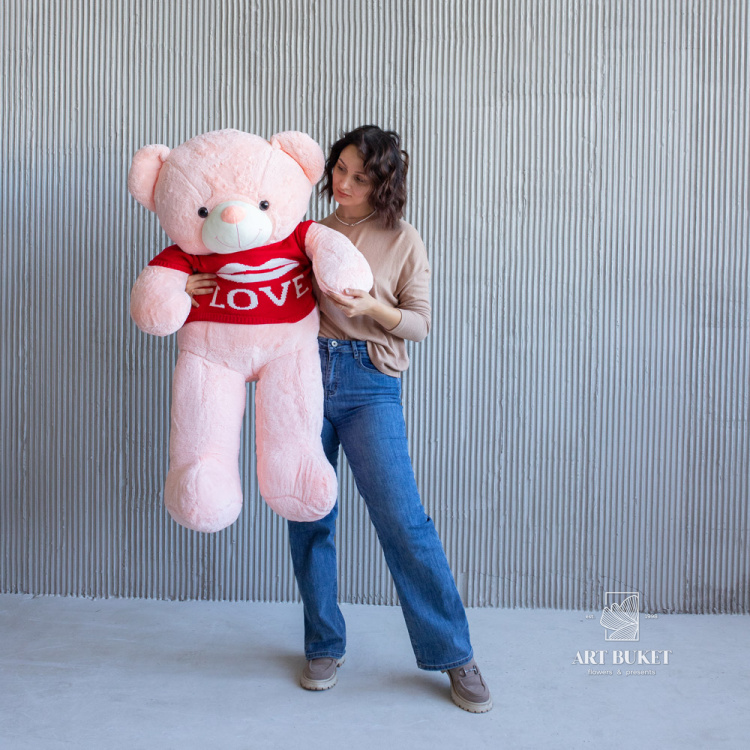 Медведь в кофте love цвет микс