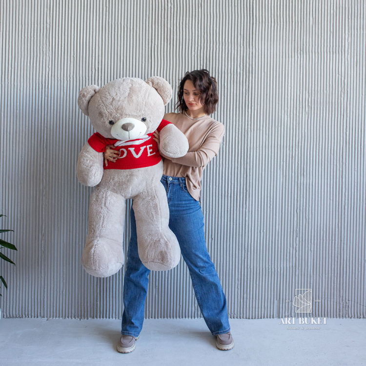 Медведь в кофте love цвет микс