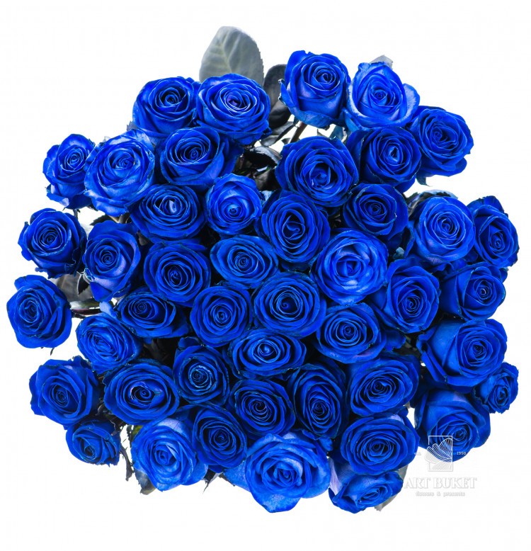 Букет синих роз