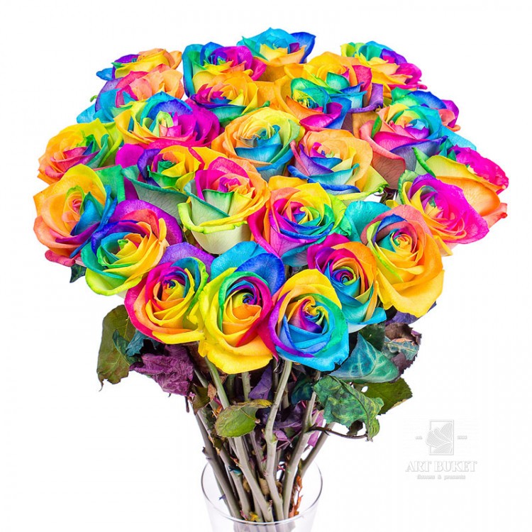 Радужные розы