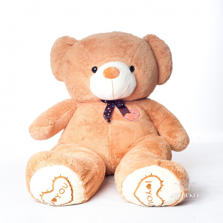 Медведь бурый с бантом