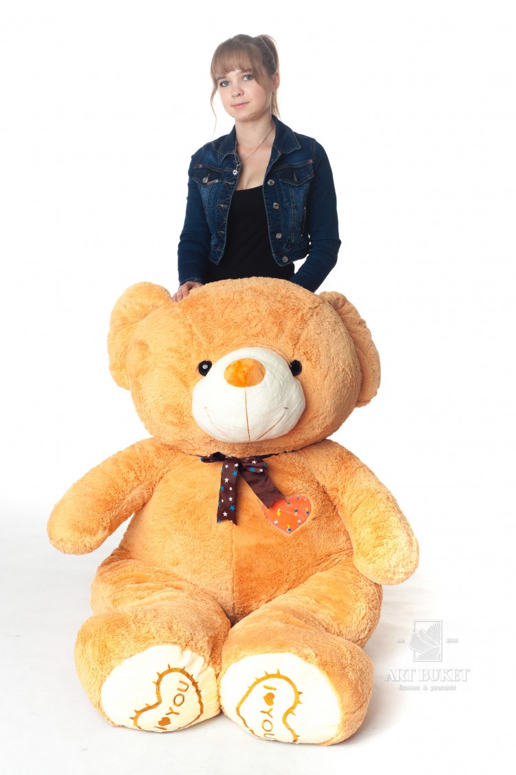 Медведь бурый с бантом