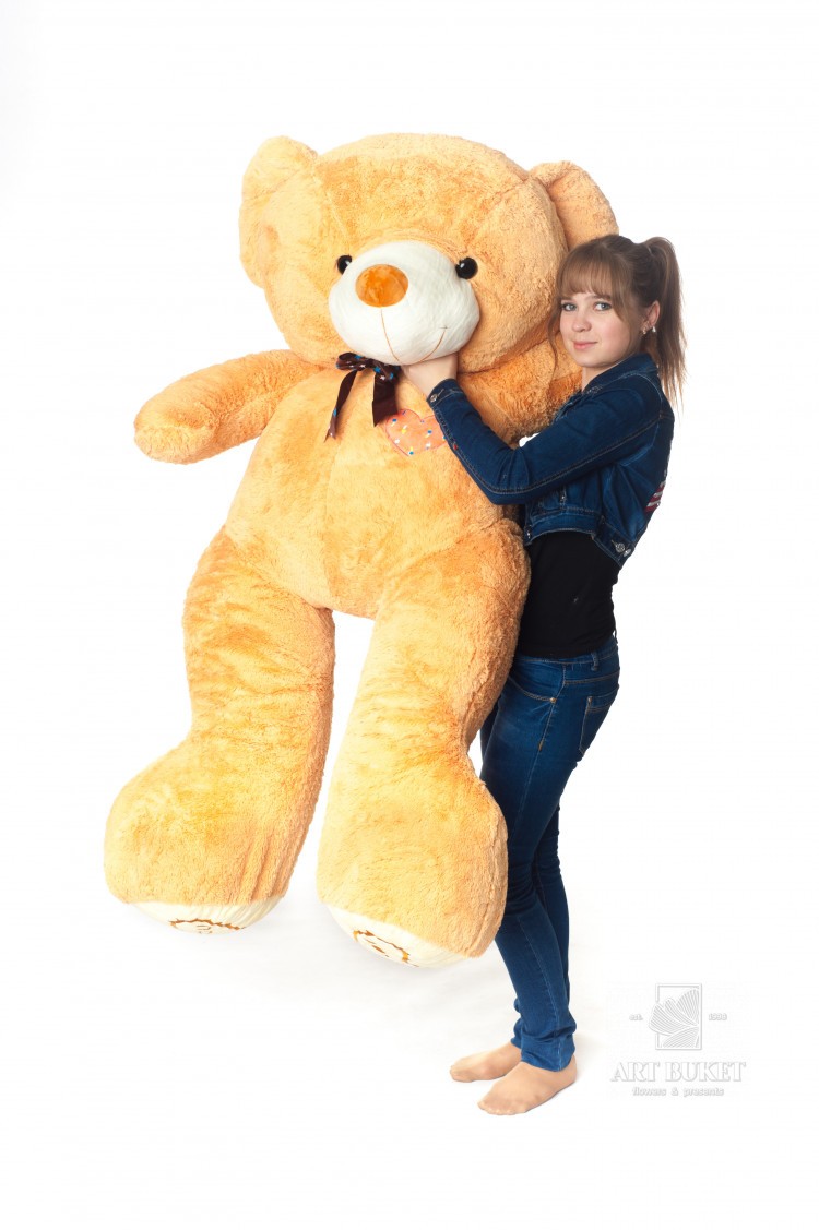 Медведь бурый с бантом