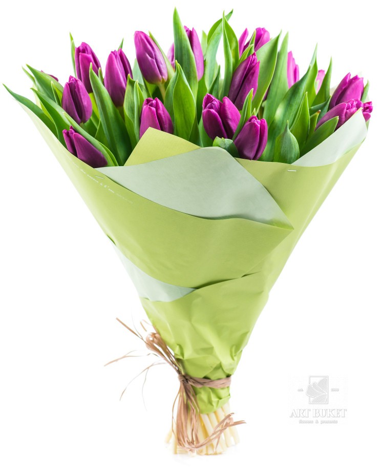 25 тюльпанов