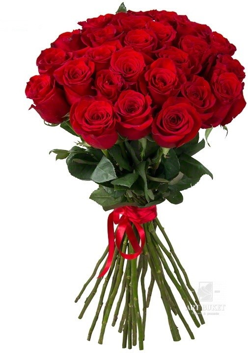 25 местных роз