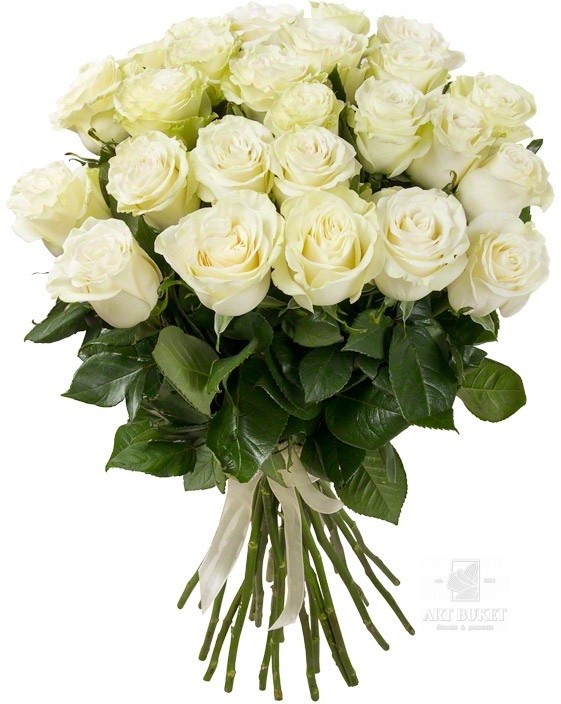 25 местных роз