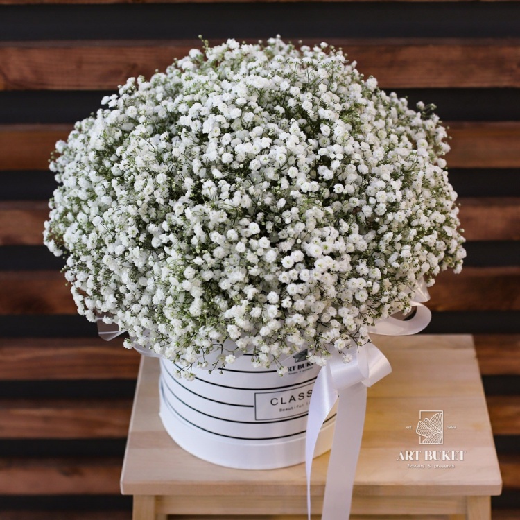 Три метра над небом