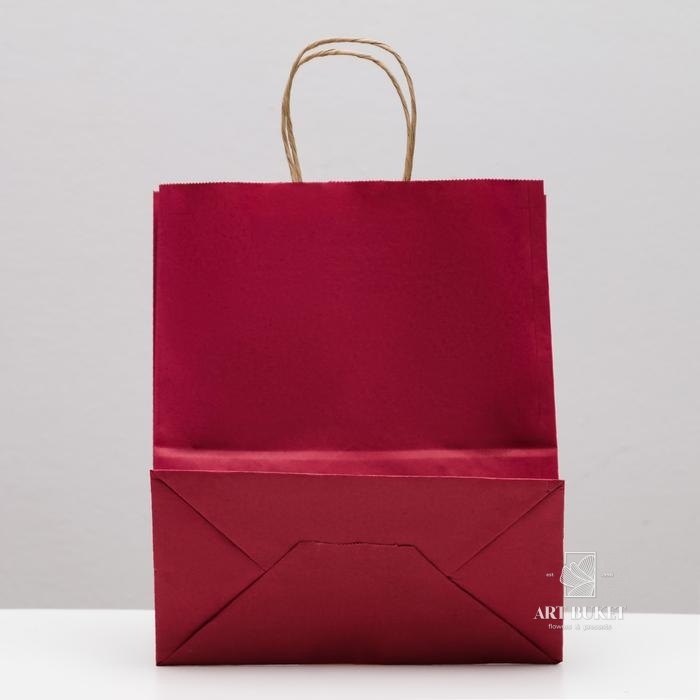 Пакет крафт малиновый, 22 х 12 х 27 см 