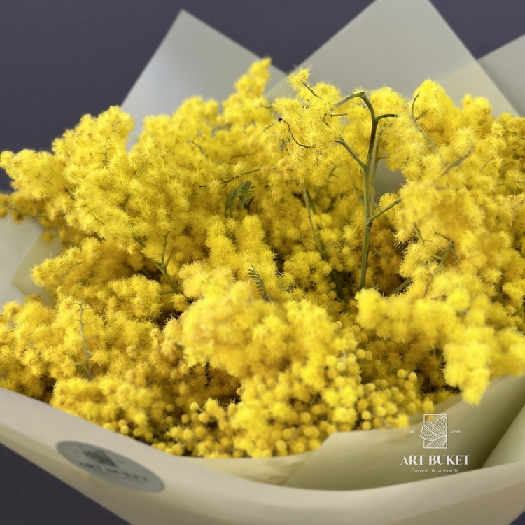 Букет из мимозы