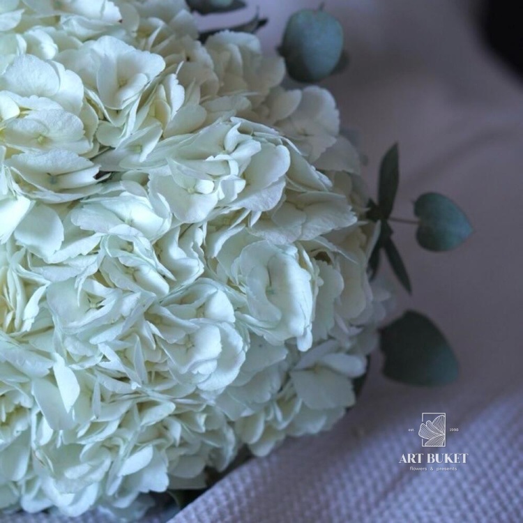 Свадебный букет из белых гортензий